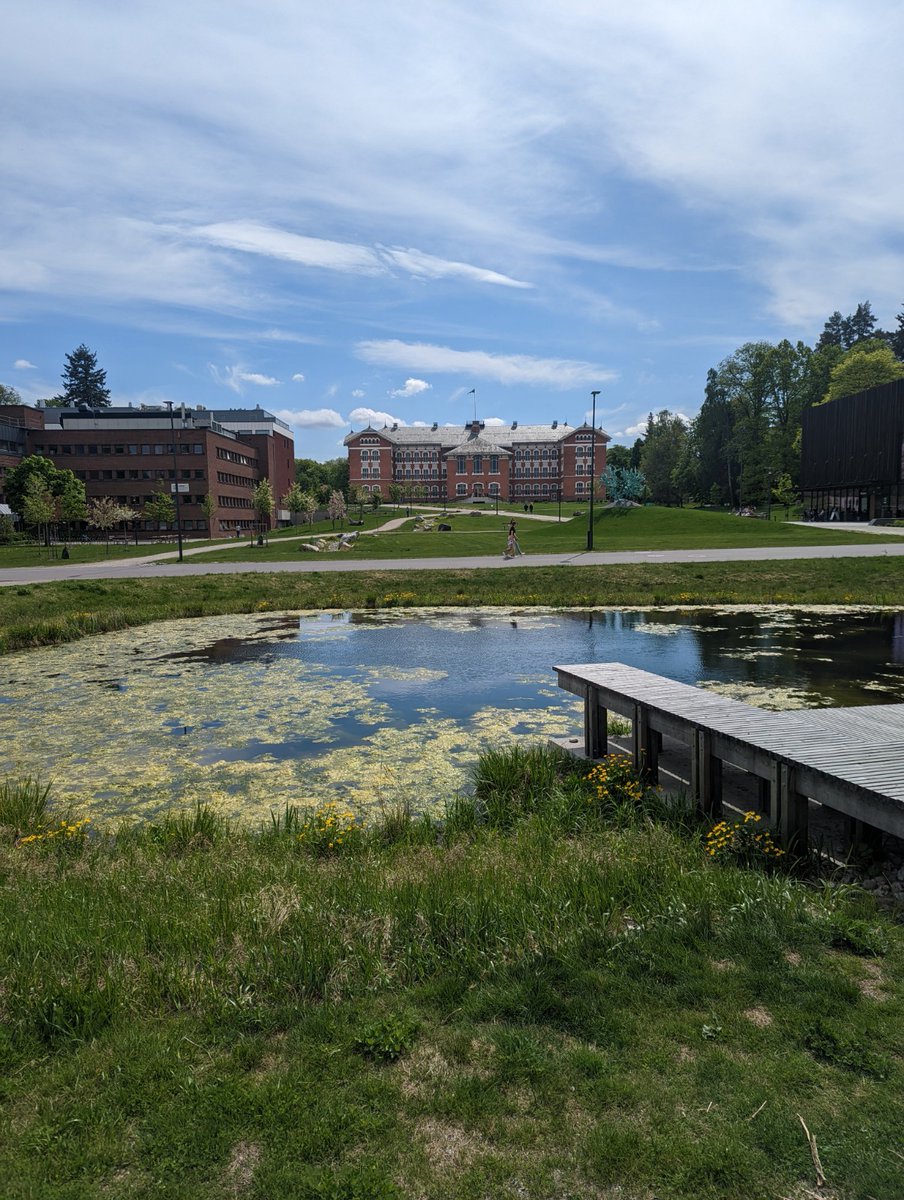 Many thanks to
@stefanopuliti and @HansOleOerka
at
@UniNMBU
@NIBIO_no
@SmartForest_SFI
for their work putting the course together