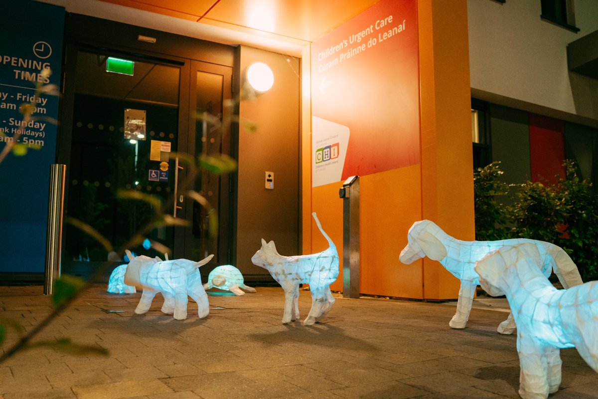 CHI_Ireland's tweet photo. 'A Pet By My Side' are 14 lantern sculptures made by
Tom during his residency. 

These were photographed in playful poses within the building &amp; its surrounds, reminding us that this is a place for children and young people where play, humour, mischief, and comfort matter❤️ https://t.co/DqIKEmr5To