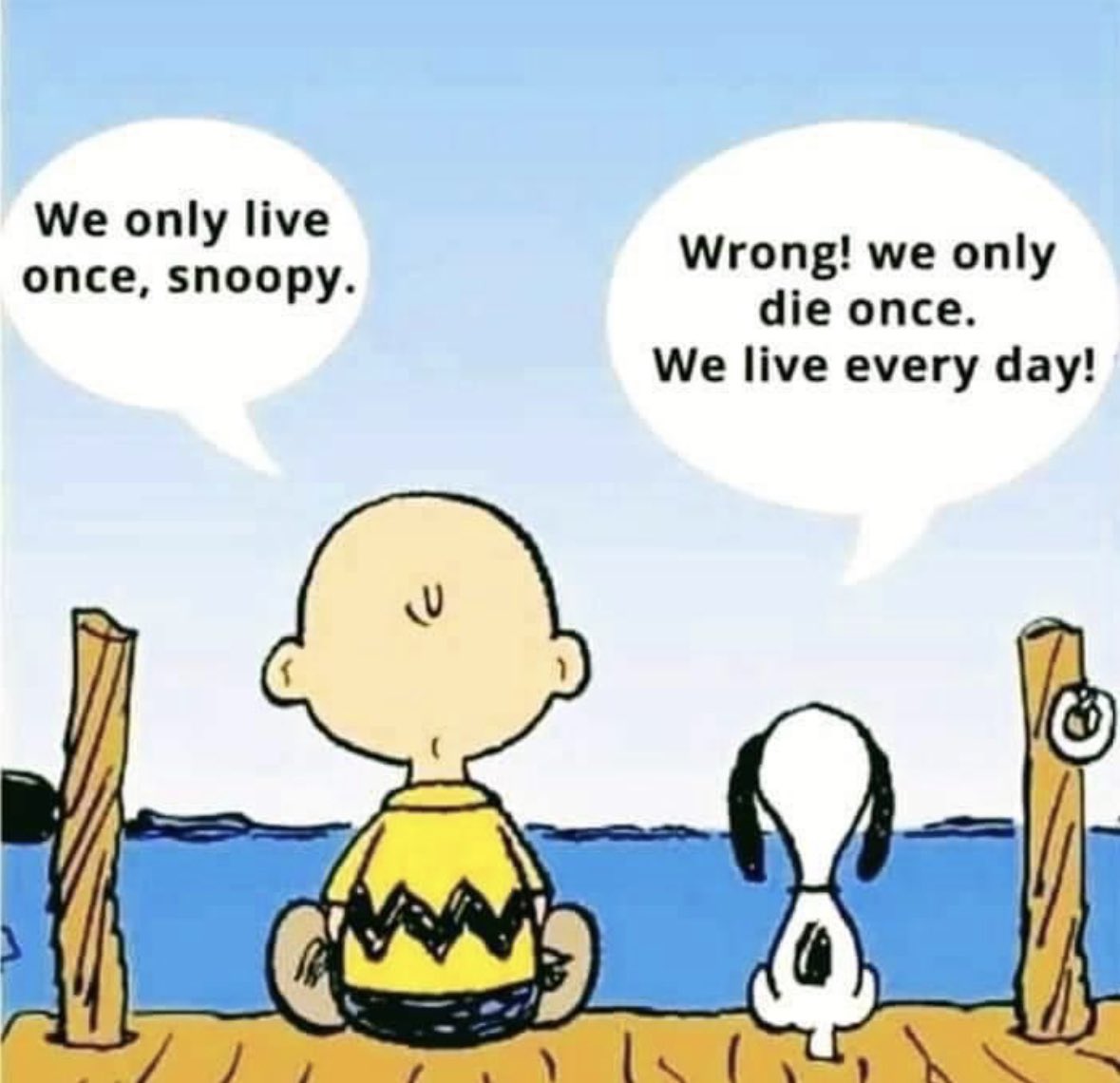 Wise words Snoopy 🧡