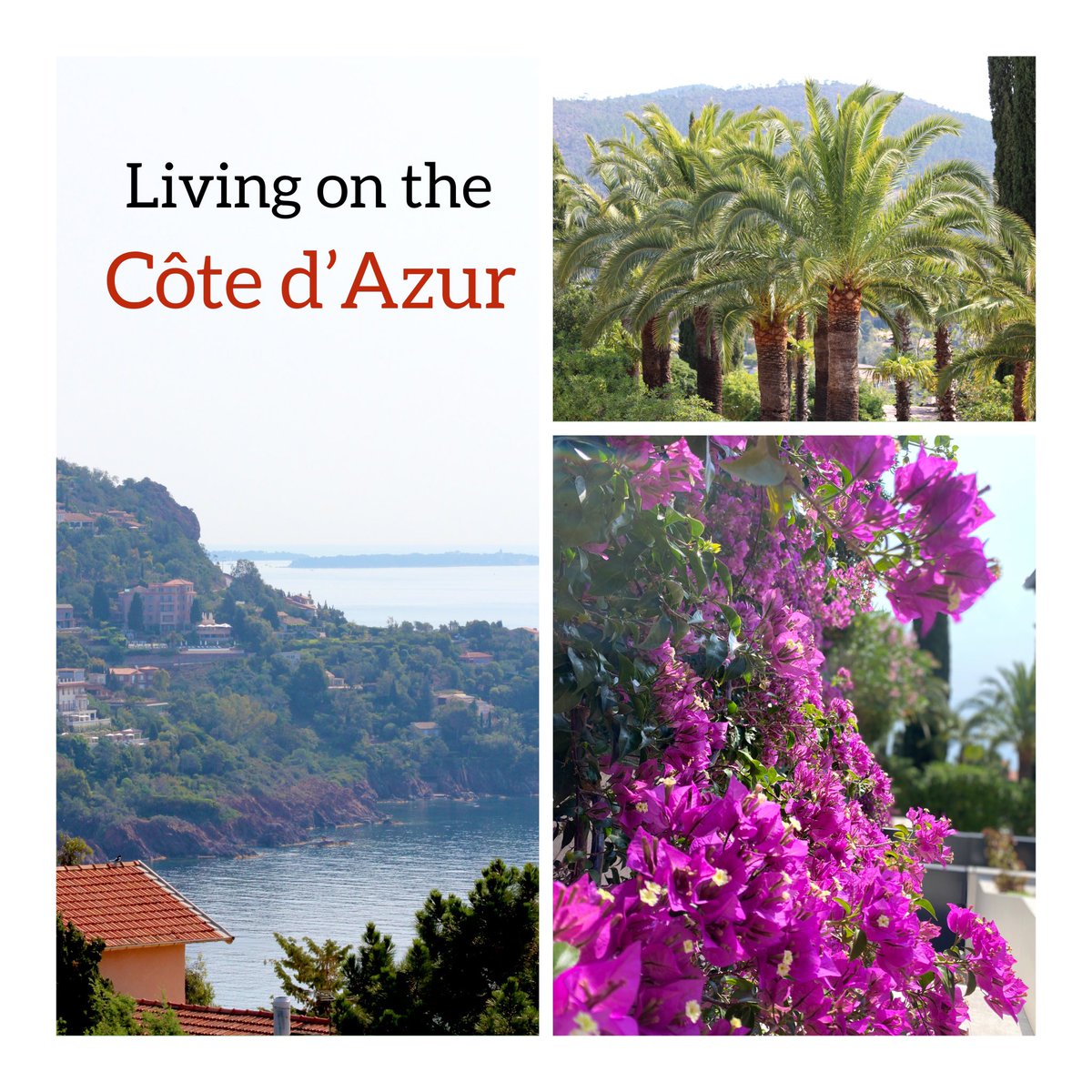 Living on the côte d’Azur 🏝️😎☀️We highlight our beautiful region ☀️ #cotedazur #cotedazurfrance ————————————
#iimmooalliance @iimmooA
————————————
#VisitCotedazur #ExploreCotedAzur #explore_regionsud #MassifdelEstérel #VisitEsterel #esterelcotedazur #naturelovers