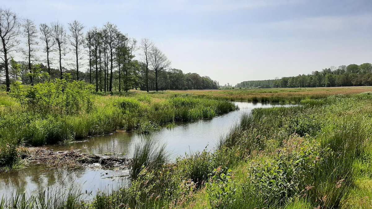 Groetjes vanuit Maaspark Ooijen-Wanssum bij Blitterswijck 🥾🥾👋