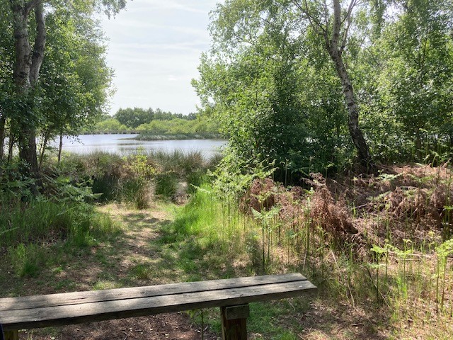 The last of our NNRWeek2023 events yesterday on a lovely sunny walk around Hatfield Moors. #NNRWeek2023 #NationalNatureReserves. Thanks to everyone who helped with these events or joined up for them. We'll be running more walks and events throughout the year.