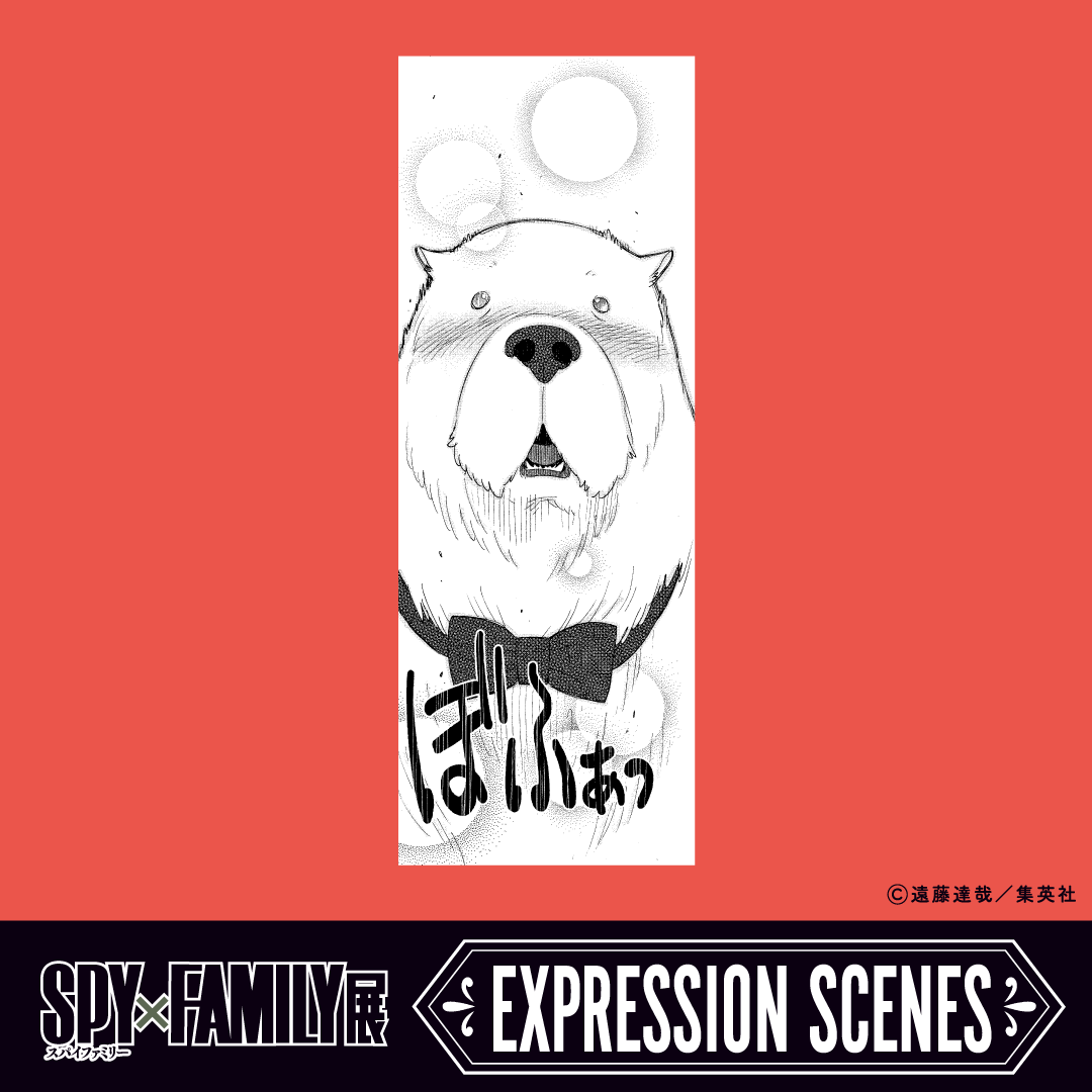 【#SPY_FAMILY EXPRESSION SCENES】
ボンドの恋（10巻SHORT MISSION:8）

恋に落ちるモフモフ！

#SPY_FAMILY展　#スパイファミリー