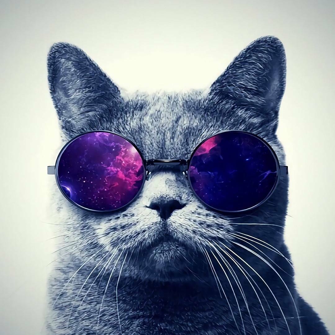 bo12357563's tweet photo. #NewProfilePic https://t.co/aLafWC14Ax