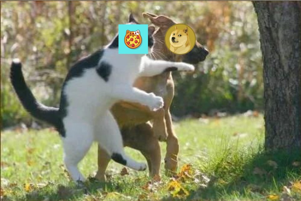 <a href="/JakeGagain/">JAKE</a> 🔥 Calling all crypto investors and memecoin lovers! 📷<a href="/PZCTcoin/">Pizza Cat Coin</a> is on a mission to shake up the crypto world and achieve mind-blowing 100x returns! Join our vibrant community, spread the Word #BNB📷 #BSC #100x