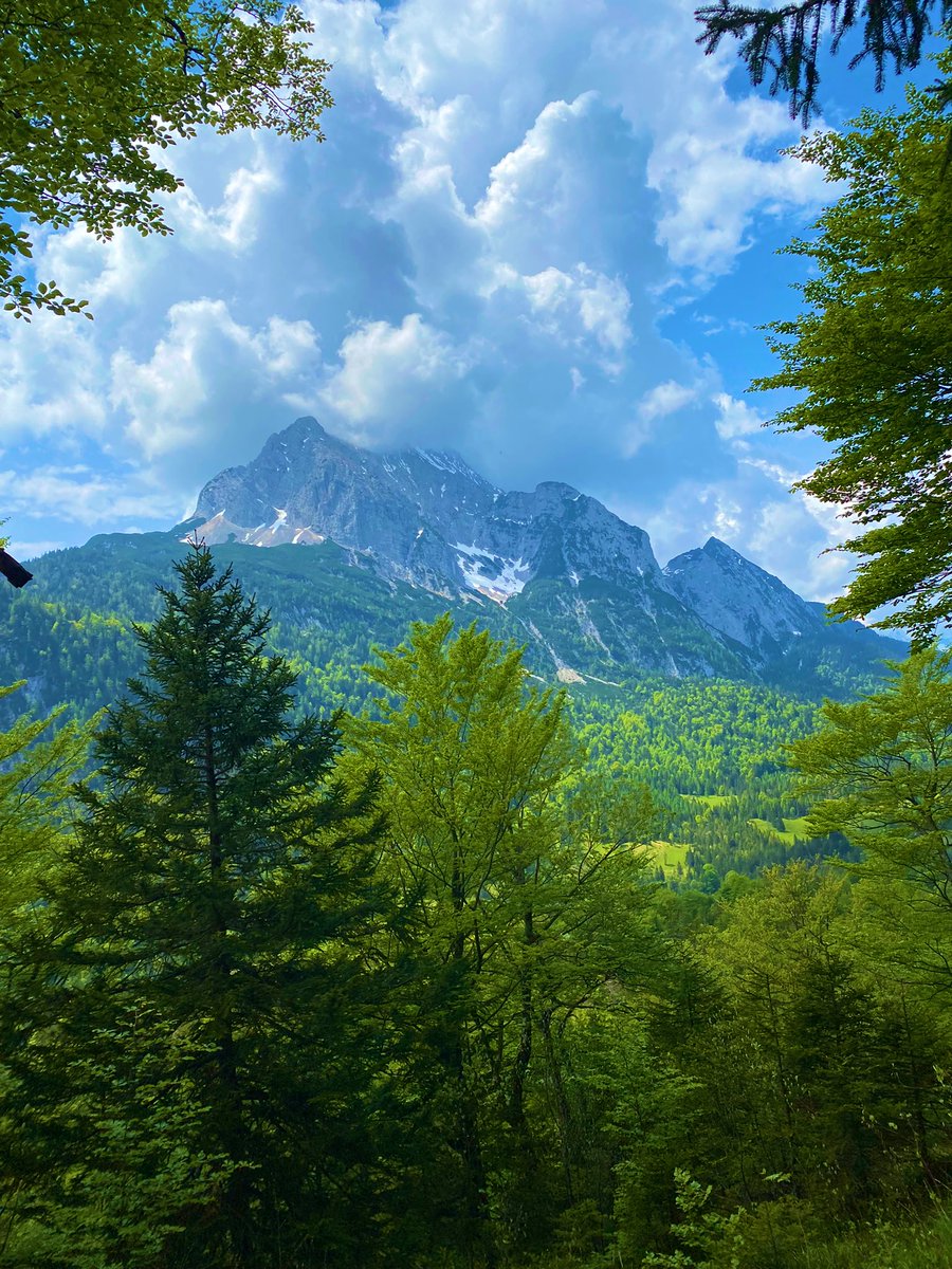 vickygaticaa's tweet photo. Mountain weekend in #Mittelwand 🌲🏔 getting ready for Zugspitze 💪🏻 #mountains #hikingadventures #wandern #Deutschland https://t.co/078GV43jgK