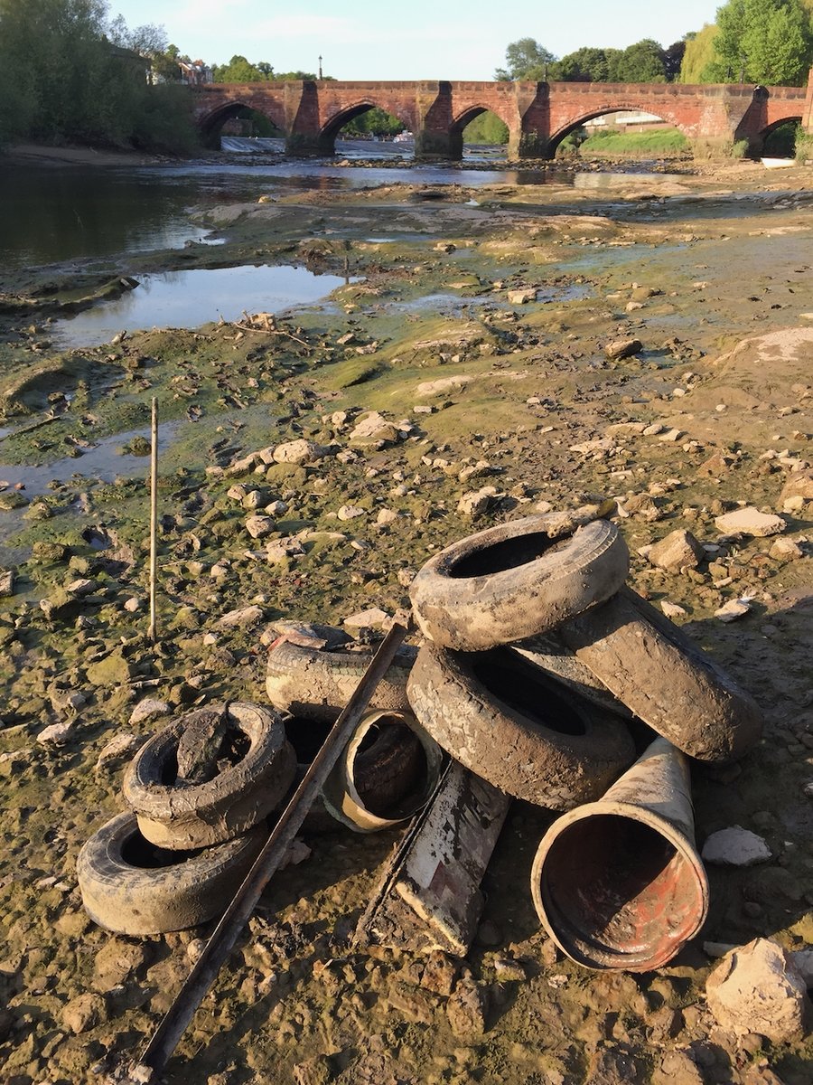 Edgar's Field Park tweet media