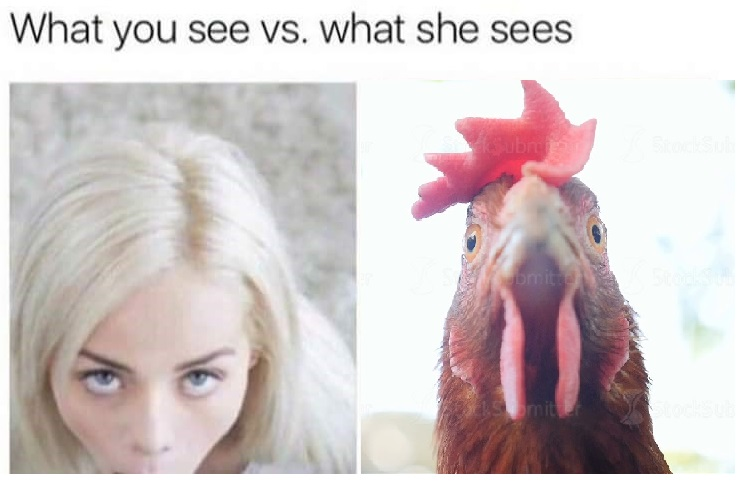 $Kiwi-Crypto ₳C/DC₳ ✊ tweet media