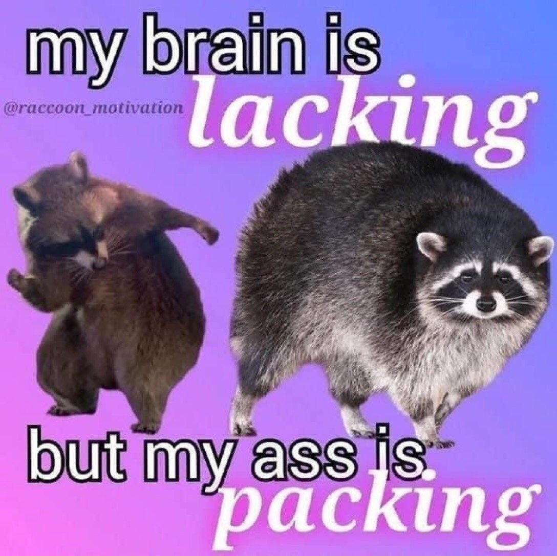 My Brain Is Square And Im Often Confused With An English Muffin