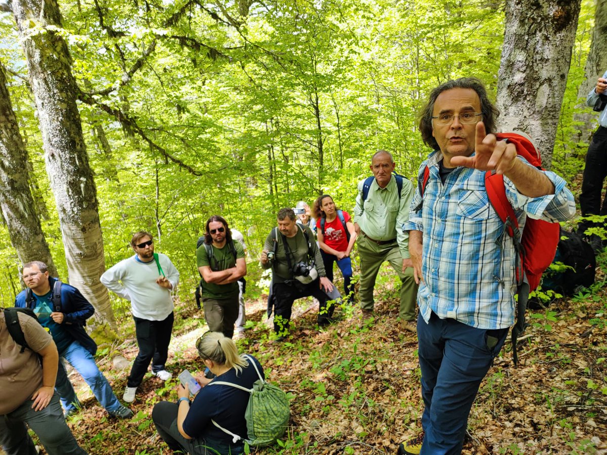 SchwendtnerO's tweet photo. Professor Gianluca Piovesan (Univ. Tuscia) explains aspects of forest ecology and dynamics in the old-growth forest of Val Cervara (Abruzzo National Park). #Unesco #WorldHeritage #BeechForest #FaggeteVetusta #OldGrowth https://t.co/GgnLEU6OdK