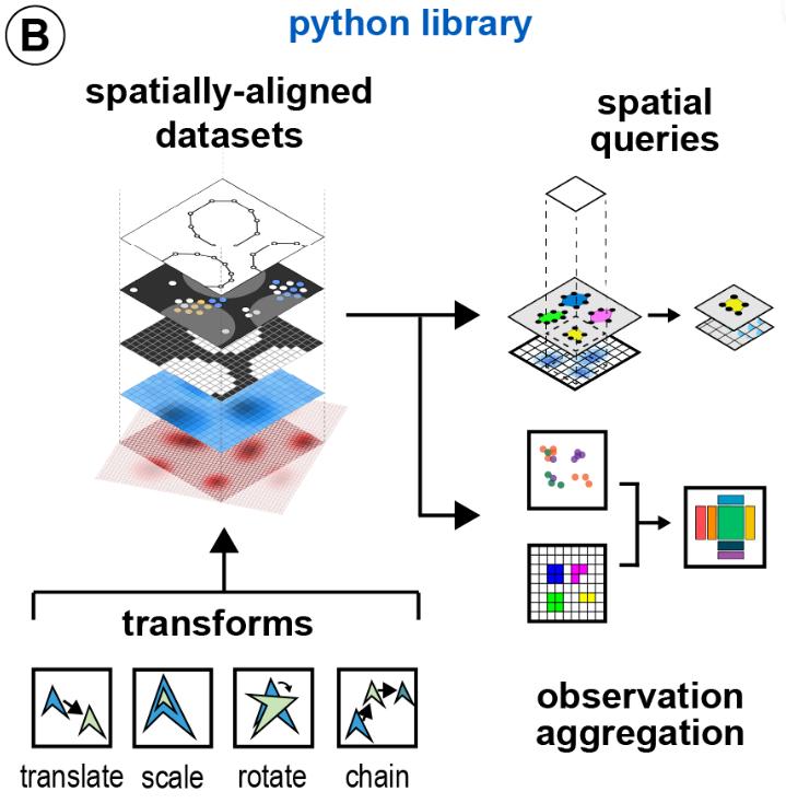Tonight at 18:00 CEST <a href="/g_palla1/">Giovanni Palla</a> will present SpatialData, our new data structure for experiments with spatial resolution! Join our community meeting if you are interested!

More details + zoom link: hackmd.io/VfVLKb3ETGKN2j…