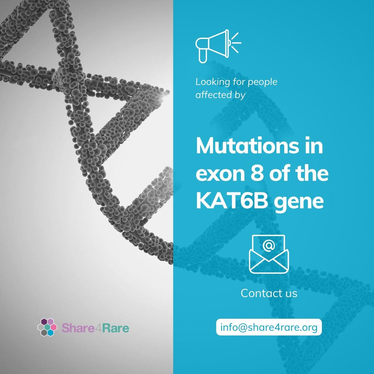 Share4Rare_eng's tweet photo. π₯ A mum is looking for people affected by a mutation in exon 8 of the #KAT6B gene. Symptoms may include facial #dysmorphism, heart defects, and foot deformities.
Please, help us connect families in Share4Rare! βοΈ https://t.co/fBu0t2WtKu
#raredisease #raresyndrome https://t.co/2VUbgi19WB