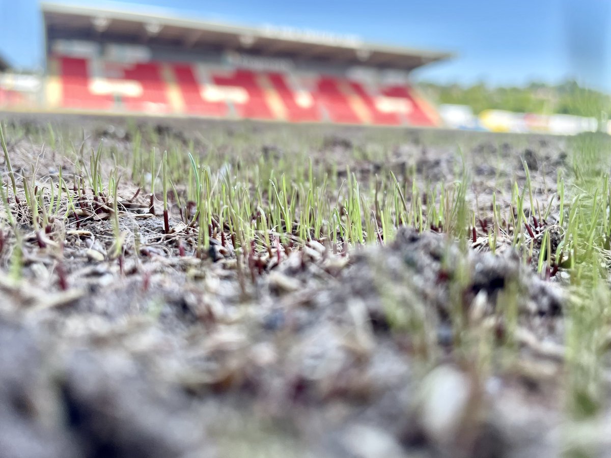 The sprouts of a new season 🌱 

#ECFC #OneGrecianGoal