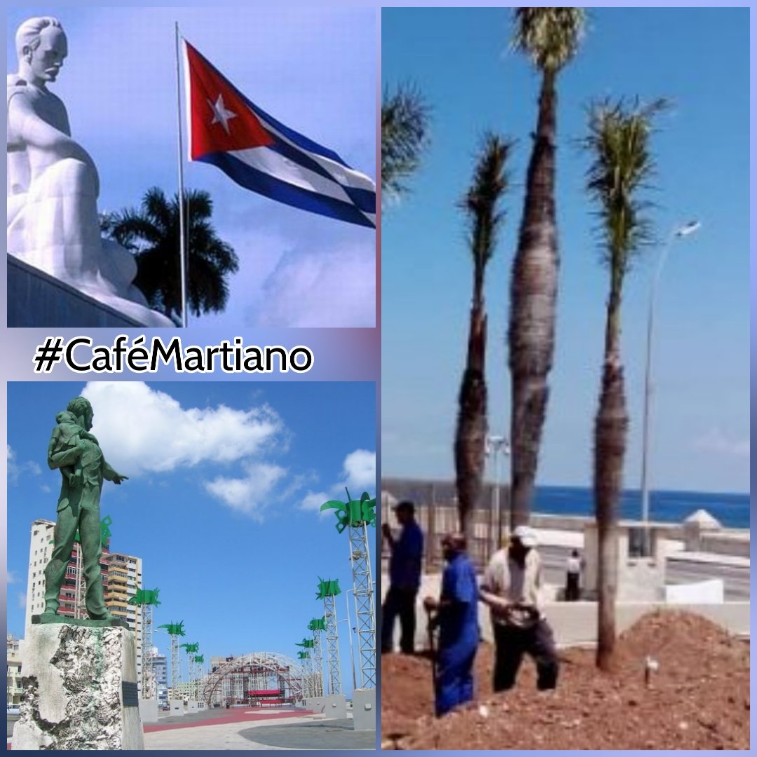 @cafemartiano #CaféMartiano 🇨🇺
La Tribuna plaza por excelencia para la lucha contra el imperialismo, con la verdad tan alta como las 🌴

'Para servir a la palma herida
Nació, Mana, el alma agradecida
Palma es la libertad: palma más bella
Alma franca y fiel; palma, y estrella'
#MartíVive 
#Cuba