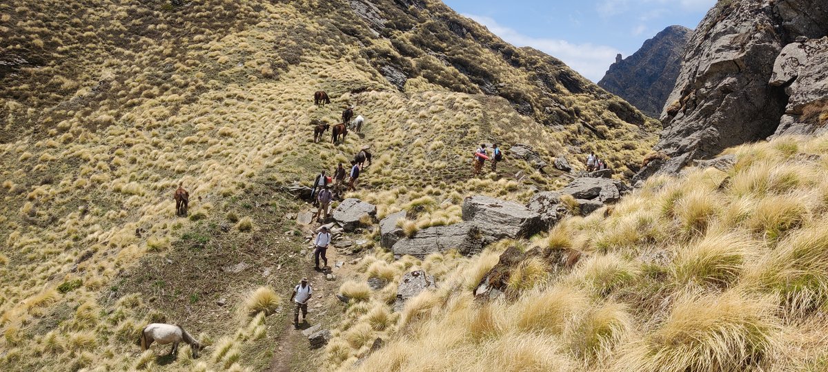 CISF (@CISFHQrs) on Twitter photo 2023-05-30 10:07:38 22 km trekking from Auli to Tugasi to promote healthy lifestyle under #MissionLiFE was organized by CISF Unit NTPC Tapovan. During trekking they interacted with locals & motivated them for use of plastic free items & non-conventional energy sources. #ChooseLiFE @HMOIndia @moefcc 22 km trekking from Auli to Tugasi to promote healthy lifestyle under #MissionLiFE was organized by CISF Unit NTPC Tapovan. During trekking they interacted with locals & motivated them for use of plastic free items & non-conventional energy sources. #ChooseLiFE @HMOIndia @moefcc