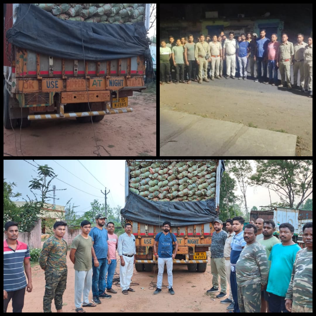 Yesterday Rairkhol division has seized a truck illegaly transporting kendu leaves from Mochibahal, Rairkhol and two persons have been detained in this matter. @pccfodisha @PCCFWL_Odisha @CMO_Odisha @SambalpurRccf @ForestDeptt @otvnews @kanak_news @MoSarkar5T