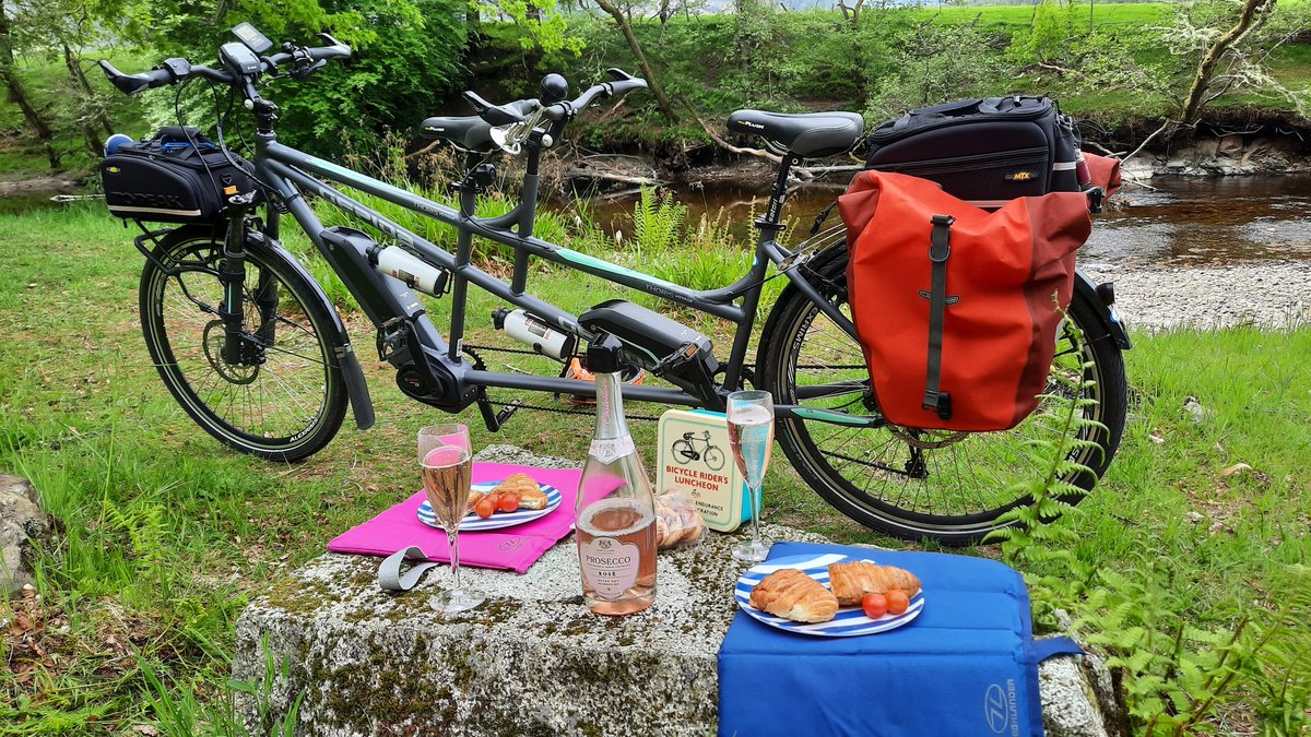 Matildas Musings tweet media