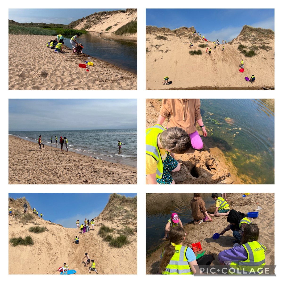 P7 are loving their exploration on Balmedie Beach, what a fun filled day we’re having! Sand dunes, exploring water wildlife and games on the sand ☀️