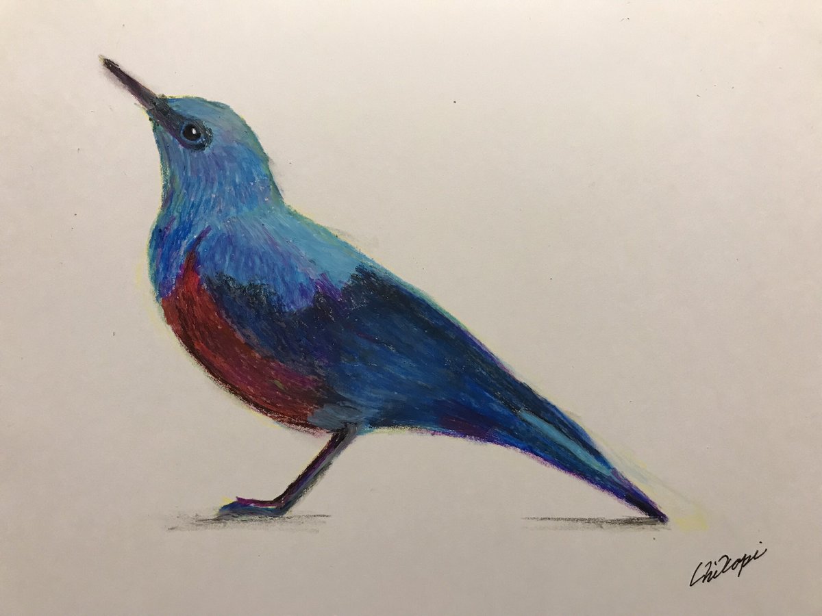 鳥のクレヨン画 鳥のクレヨン画 Amazon.co.jp: 絵画 直筆アート 「Change」RICO