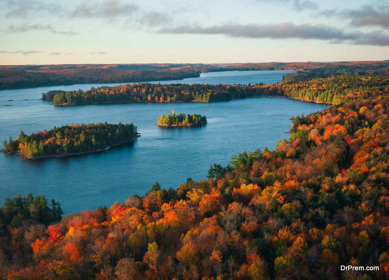 The Impact of Climate Change on Canada's Biodiversity and Species
 go.drprem.com/HSBQh
#ecofriend #drpremnetwork #drprem #sponsored 
 #CanadasBiodiversity #Climatechange #Ecosystems #electricitytransformation #Habitats #OceanAcidification #Phenology #Species