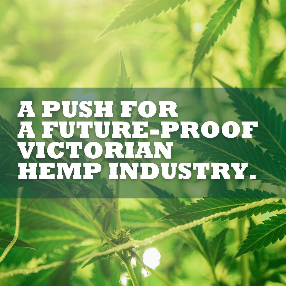 A big day tomorrow! Our motion for a Parliamentary Inquiry into #industrialhemp is being debated and we're expecting positivity from all sides of the chamber. Stay tuned!

Media Statement: rachelpayne.com.au/victorian-hemp…
Support our motion: rachelpayne.com.au/grow-the-hemp-…
#growthehempeconomy