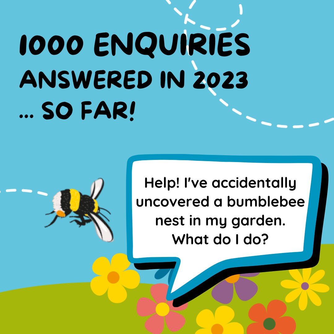 Bumblebee Conservation Trust tweet media