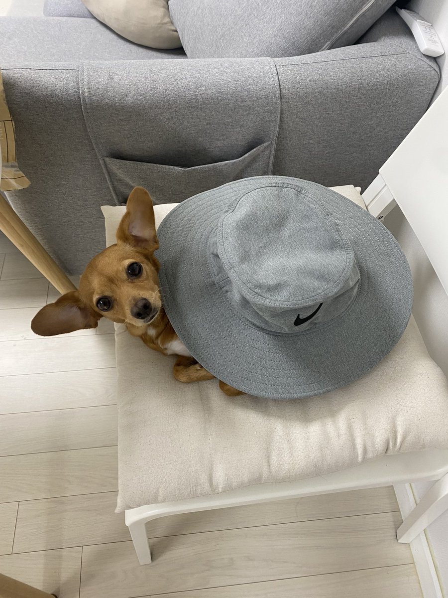 옴마 이 모자 내꺼였어?