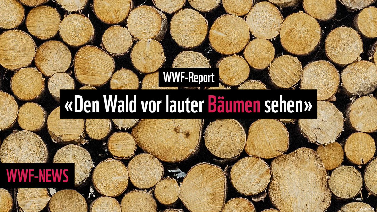 🌲❌🏧 Der WWF-Report deckt auf, dass 🇨🇭-Finanzinstitute über 98 Milliarden 💲 in die grössten Einkäufer von Palmöl investieren, ohne sicherzustellen, dass dieses nachhaltig produziert wurde.  Mehr dazu hier ‼️ 🖱️ ow.ly/IPkY50Ozmnh