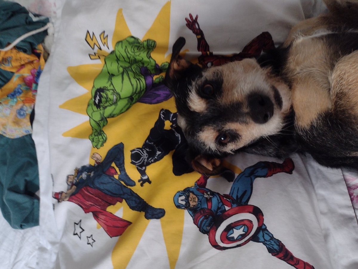 Bia🏳️‍🌈 tweet media