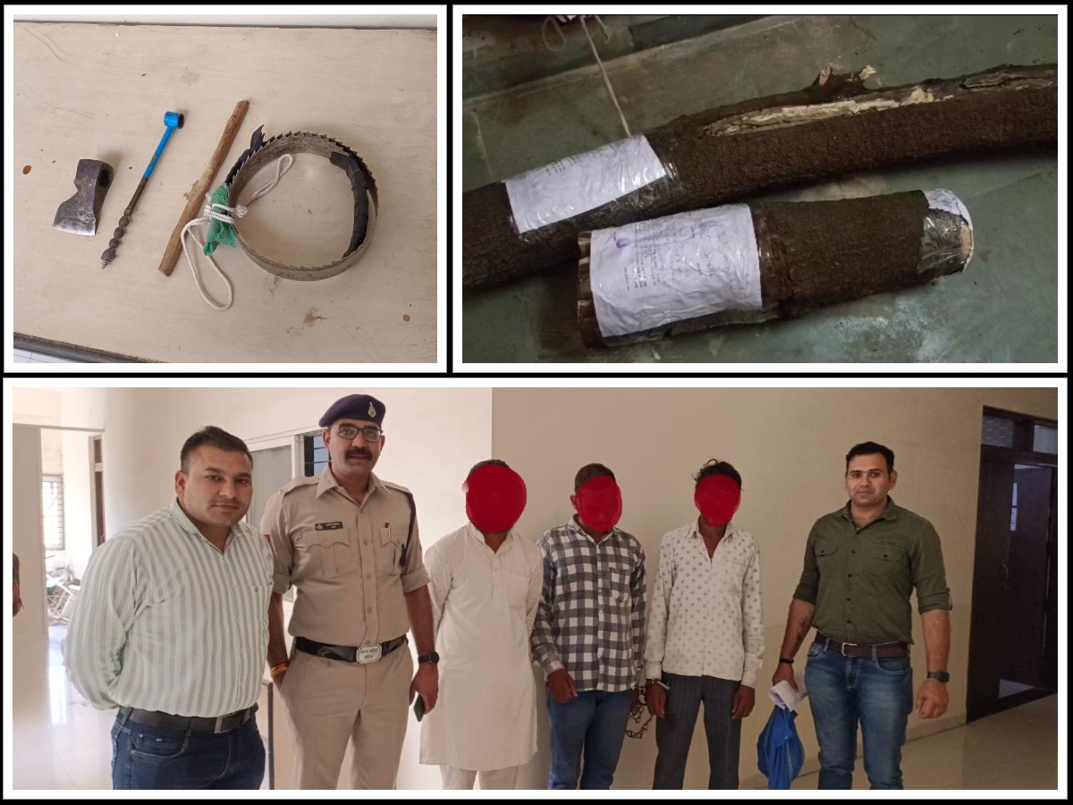 SpDewas's tweet photo. ➡ देवास कोतवाली पुलिस की चंदन चोरों के खिलाफ कार्यवाही ।
➡ कोतवाली पुलिस ने किया चंदन चोर गिरोह का पर्दाफाश ।
➡ 38 किलो चंदन की लकडी कीमत लगभग  ₹ 1,52,000 की जप्‍त ।
➡ चदंन की लकडी काटने के औजार सहित 03 आरोपी गिरफ्तार किया गया । https://t.co/uIufZR77t5