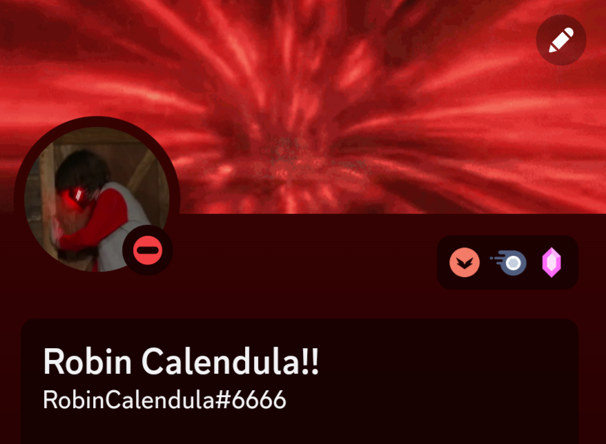 RobinCalendula's tweet photo. Guys rate my super epic discord profile (yes I have nitro 👉👈) #Discord #genloss #profile https://t.co/JKOdUAarEc