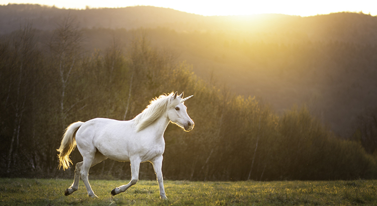 Today’s Real Estate Market: The ‘Unicorns’ Have Galloped Off dlvr.it/Sps0zy