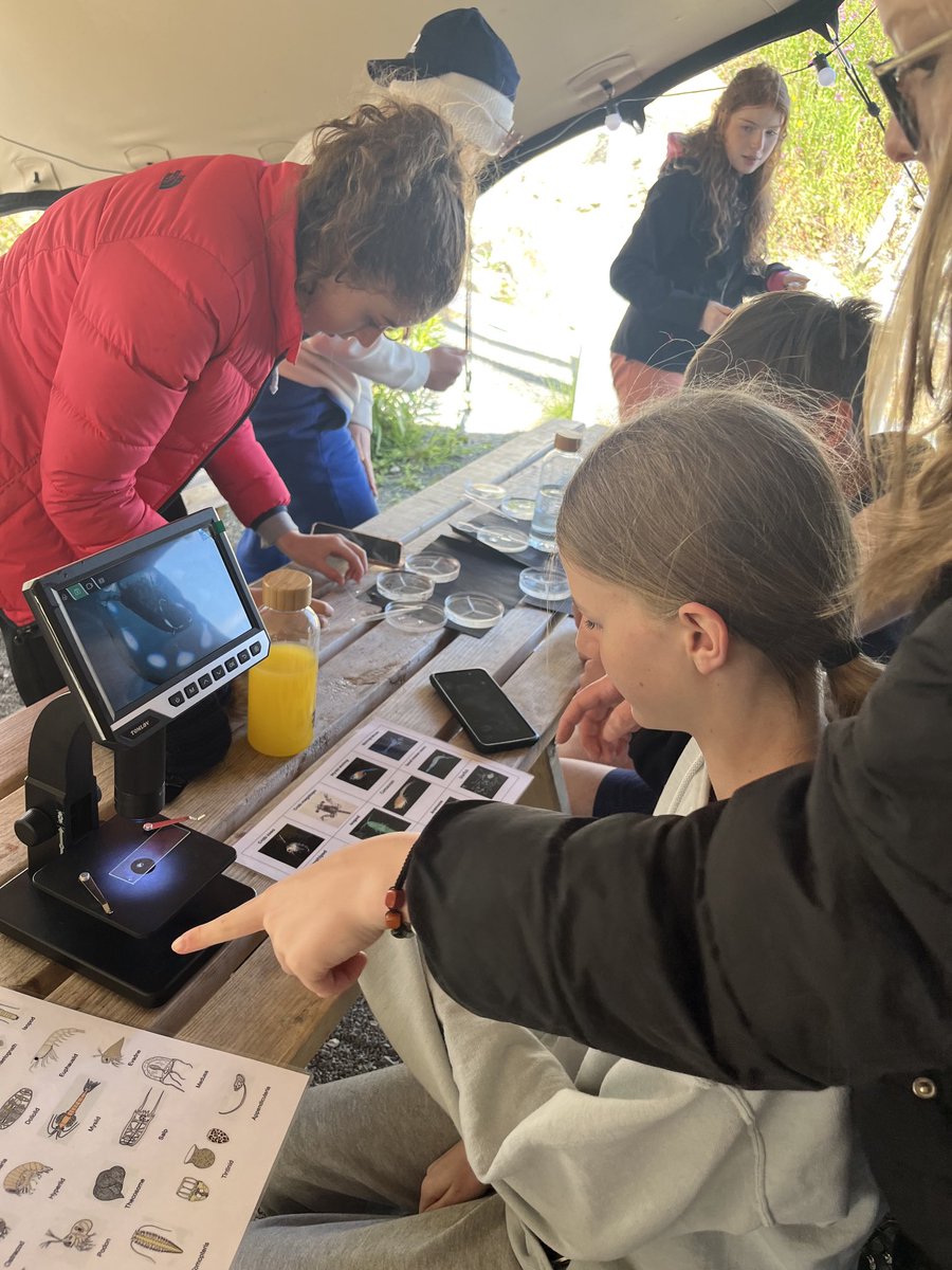 Clydeview Art & D tweet media