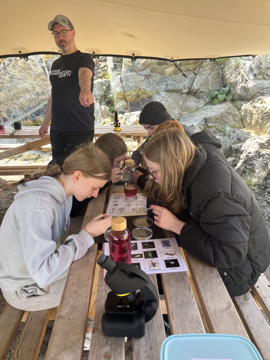 Clydeview Art & D tweet media