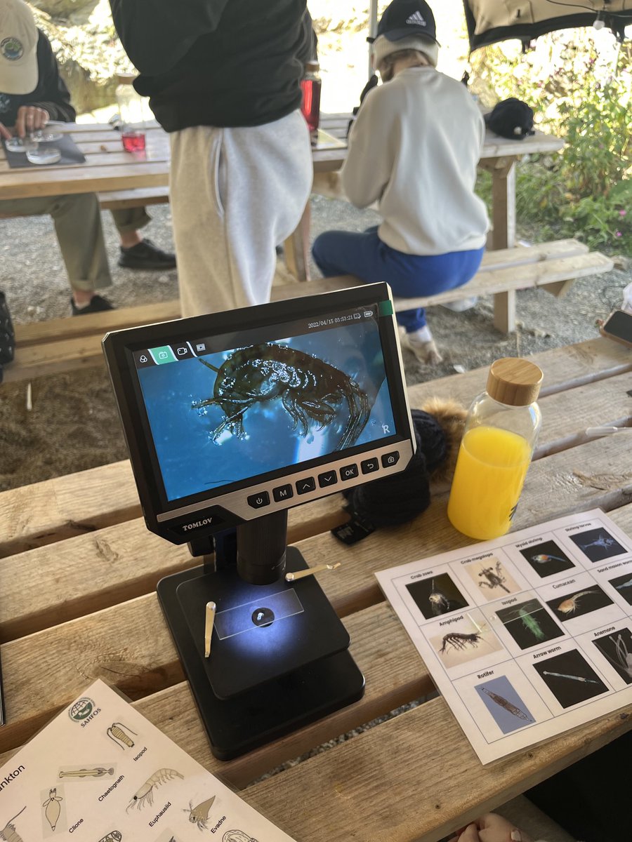 Clydeview Art & D tweet media