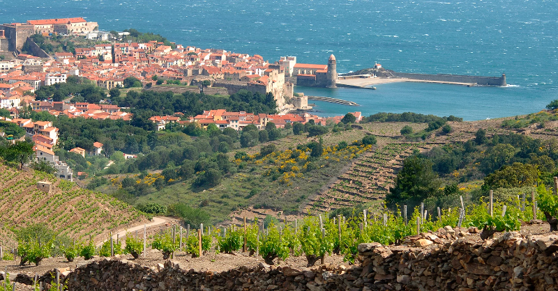 KedgeBS's tweet photo. #Article 🍷 | Retrouvez la sélection des 100 plus grands blancs de Méditerranée.

Dans le dernier numéro de @LaRVF_mag, c'est @JeremyCukierman – directeur de @KedgeWine – qui a sélectionné et dégusté les vins du Roussillon.