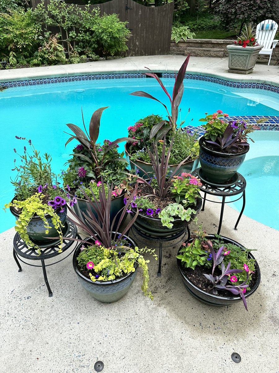 Amberley Felter tweet media