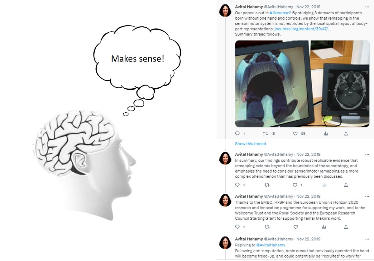 Avital Hahamy (@avitalhahamy) on Twitter photo Ever wondered how your brain makes sense of threads like this? So did we! <a href="/behrenstimb/">Tim Behrens</a> <a href="/haim_dub/">haim dub</a> and I tried to answer this question in our new paper, now available in <a href="/NatureNeuro/">Nature Neuroscience</a>.
rdcu.be/ddgnK
1/13 Ever wondered how your brain makes sense of threads like this? So did we! <a href="/behrenstimb/">Tim Behrens</a> <a href="/haim_dub/">haim dub</a> and I tried to answer this question in our new paper, now available in <a href="/NatureNeuro/">Nature Neuroscience</a>.
rdcu.be/ddgnK
1/13