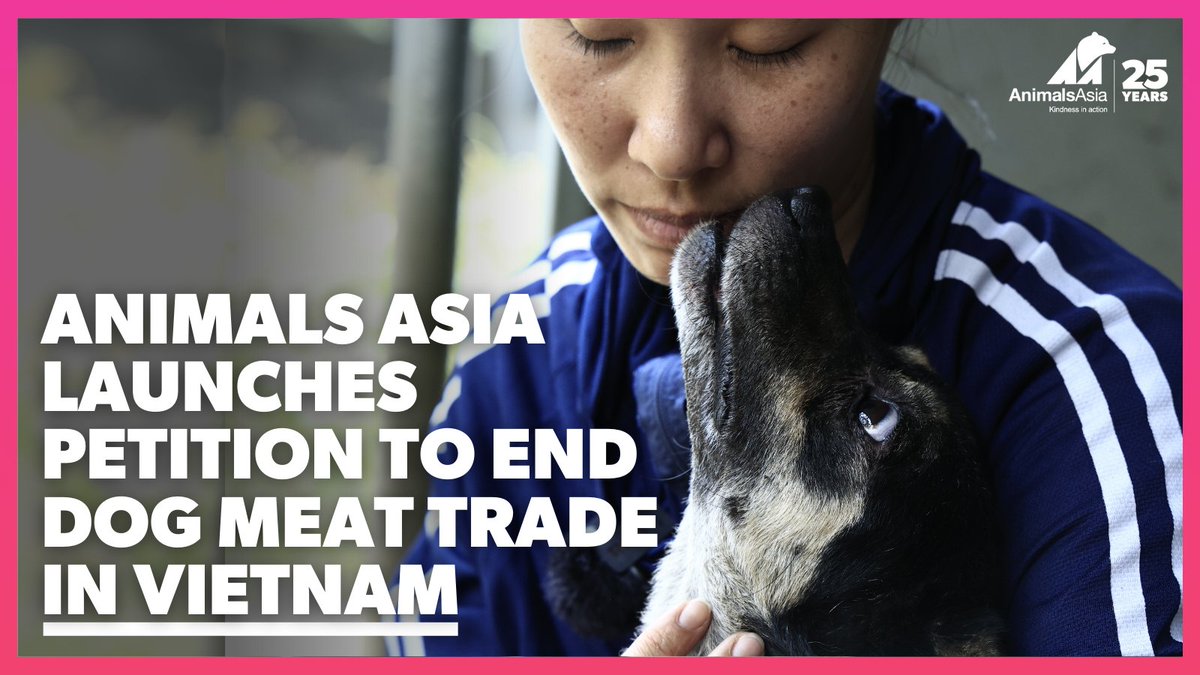 Animals Asia’s latest #petition is calling on the #Vietnamese Government to make the sale of #dog meat illegal in #Vietnam as a major step towards ending the trade for good.
.
.
animalsasia.org/dogmeatpetition
.
.
#barkback #dogmeattrade #enddogmeat #dogs #pets #vietnam #endthetrade