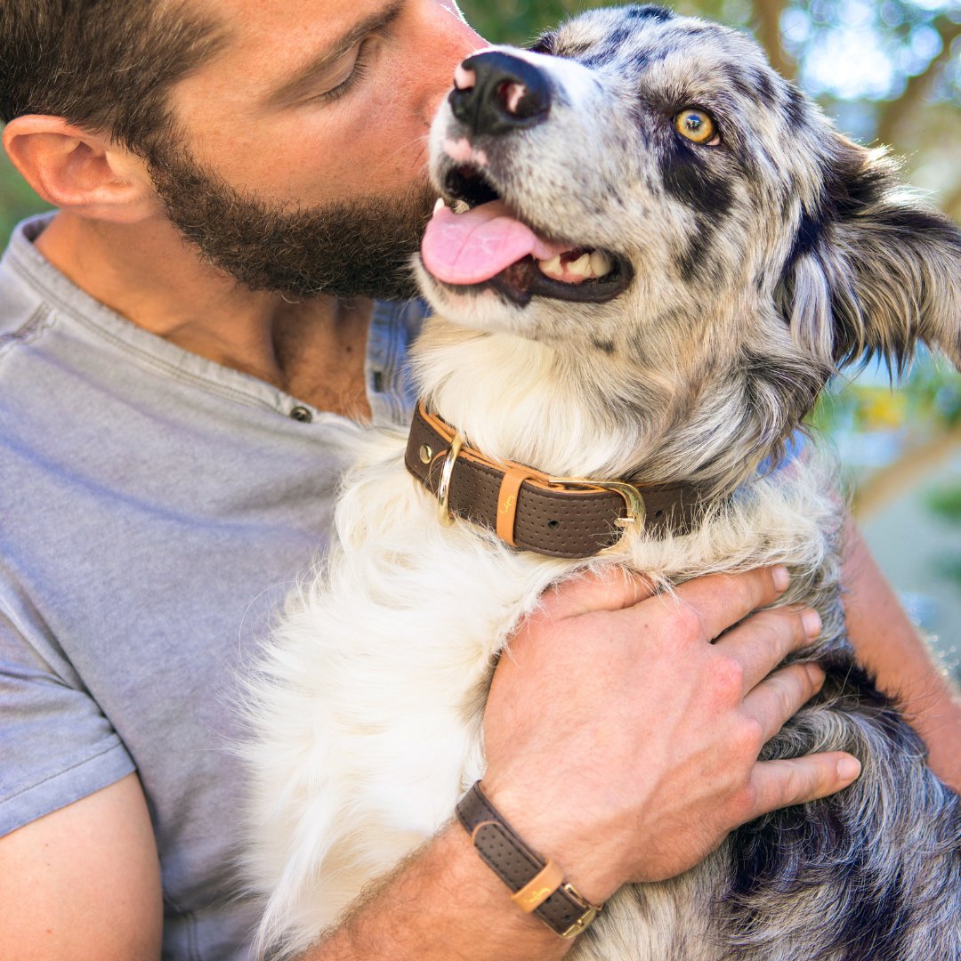 A bundle of pure love wrapped in fur.❤️🐶

#friendshipcollar #friendsforlife #friendship #dog #dogs #puppy #pet #dogstagram #instadog #doglover #dogoftheday #petstagram #pets #mansbestfriend #love #dogcollar #collar