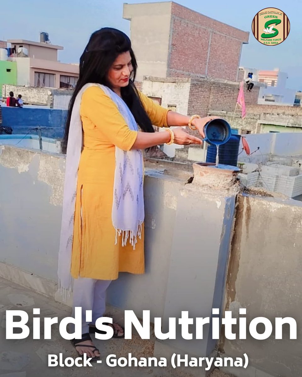 Caring for our feathered friends in the summer heat! 🐦
Shah Satnam Ji Green S Welfare Force Wing volunteers place grains & water for birds, ensuring they stay nourished and hydrated. Their compassionate actions reflect a deep respect for all life! #BirdsNurturing #SummerKindness…