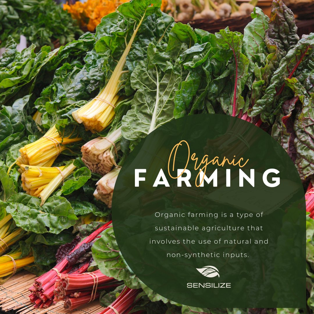 sensilize's tweet image. Organic farming is a method of agricultural production that prioritizes the use of natural inputs and techniques to grow crops and raise livestock.

Visit our LinkedIn page to read more: bit.ly/3MYAvOh

#biodiversity #organicfarming #soilhealth