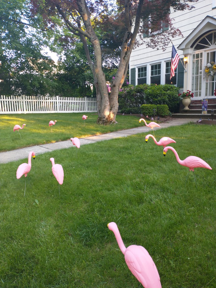 vhs spotlight players tweet media