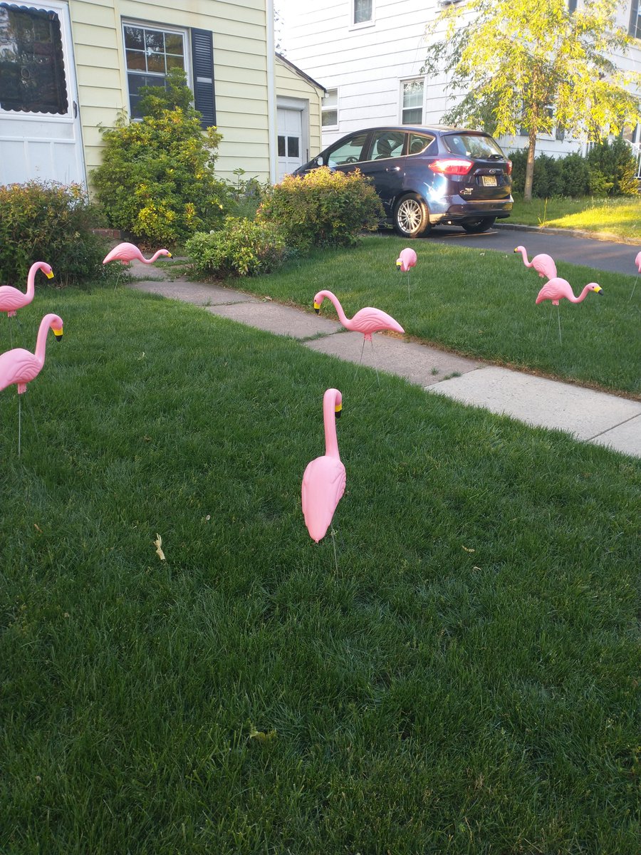 vhs spotlight players tweet media