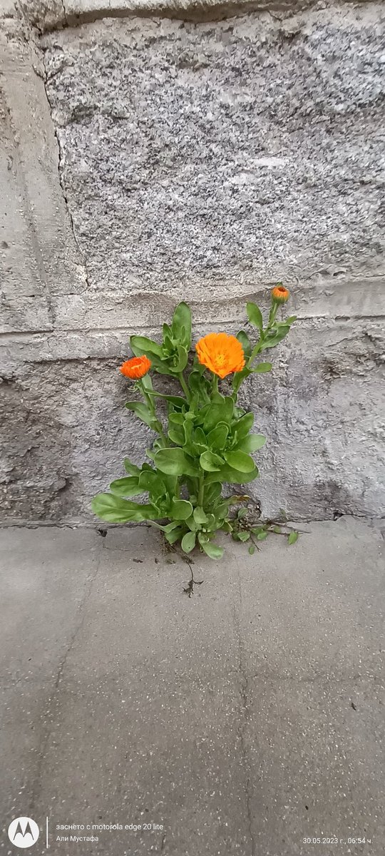 Али Aли (@a54118370) on Twitter photo 