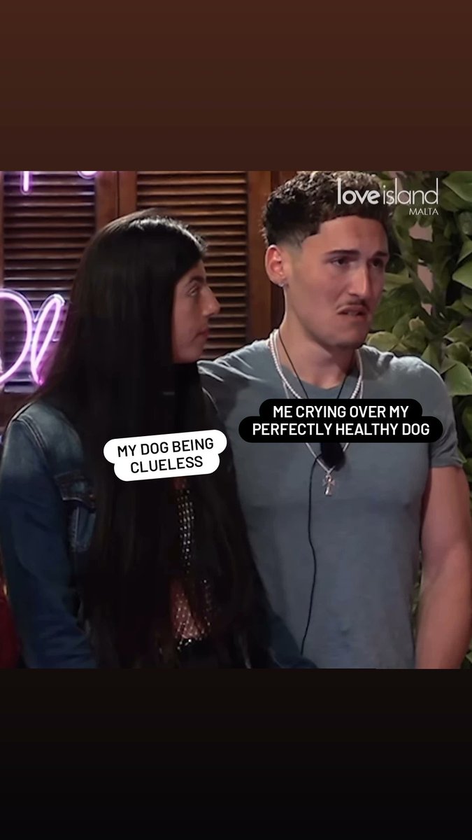 Literally me at like 2:00am bawling my eyes out while my dog is just judging me #LoveIslandMalta