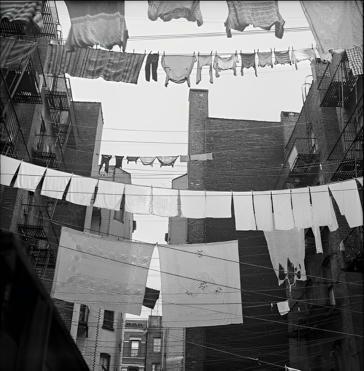 Harold Feinstein. Wash on the lines, 1947.