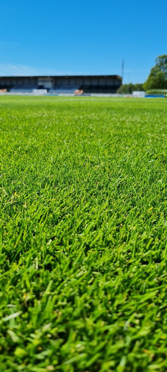 DanielPerkmar's tweet photo. Idag kör vi DM-Match mellan @IFKHassleholm och Bjärnum. Förutsättningarna är oförskämt bra. 🖤💛 #grönasidanupp #groundsman @Osterasvaktisar https://t.co/WyT8rVXJNs
