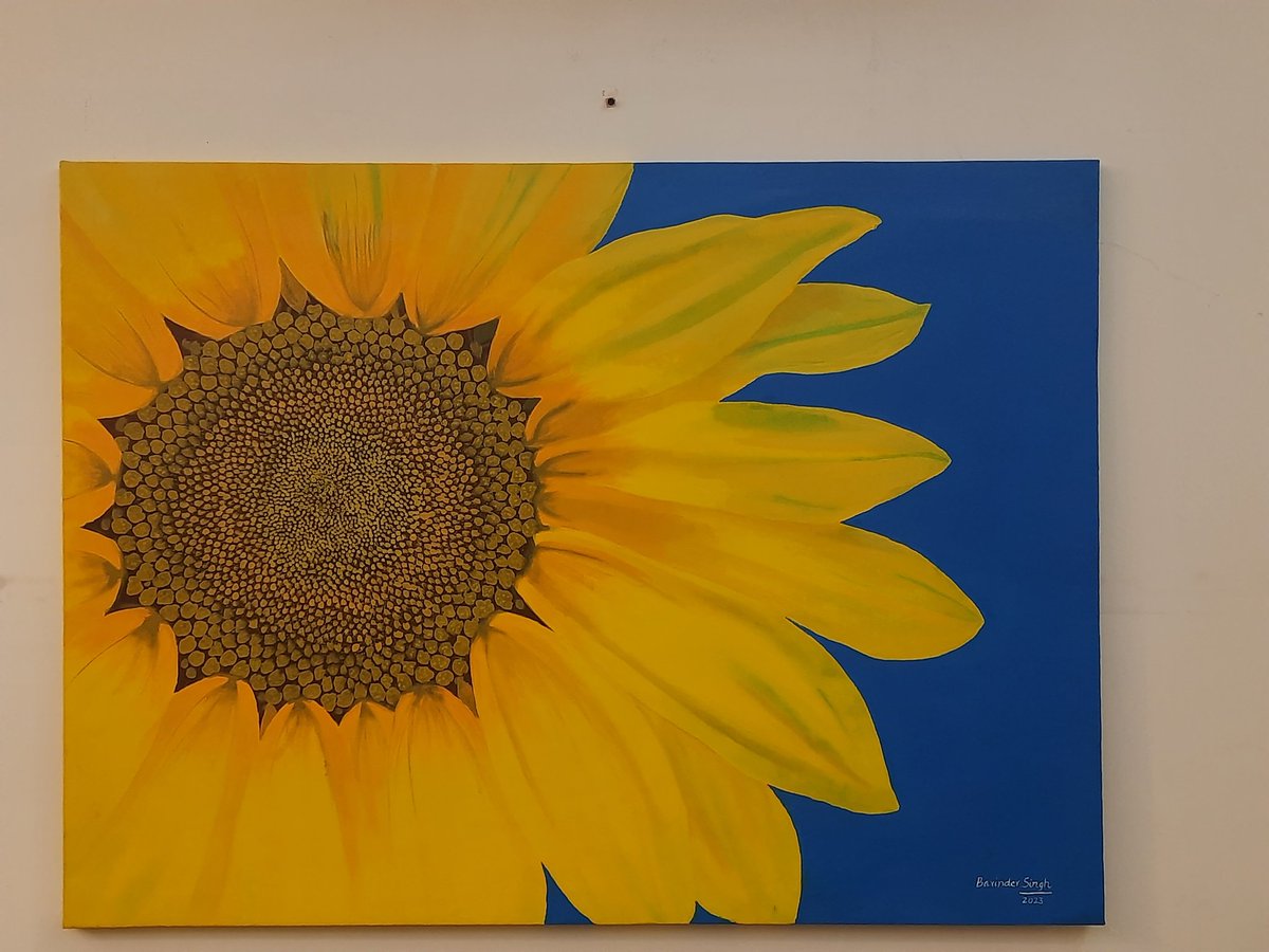 Sunflower 
Acrylics on canvas 45' x 33'

instagram.com/barinder.singh…

#sunflower #flowers #beautifulflowers #art #floralart #floralpainting #painting #artwork #artist #contemporaryart #yellow