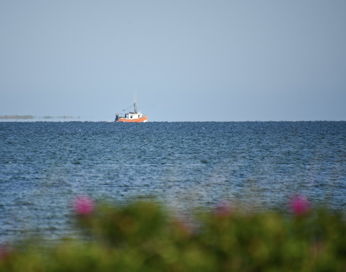 Off in the distance Great Pumpkin heads out of Stage Harbor. 
#boat #fishingboat #seascape #chatham #CapeCod